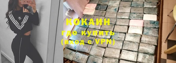 стаф Алексин
