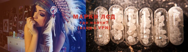 стаф Алексин