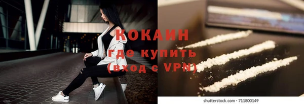 стаф Алексин