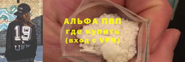 стаф Алексин