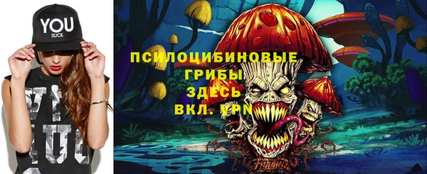 дурь Алзамай