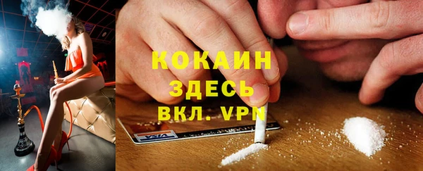 стаф Алексин