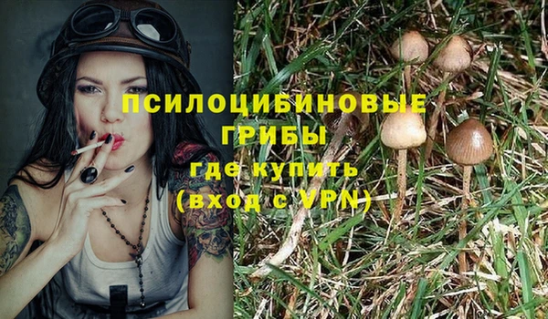 стаф Алексин