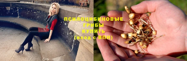 ешки Алексеевка