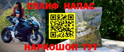 амф Шахты