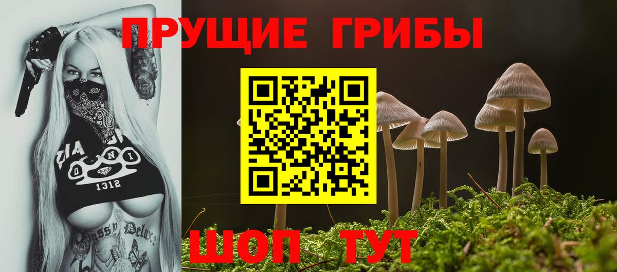 Галлюциногенные грибы Magic Shrooms Пермь