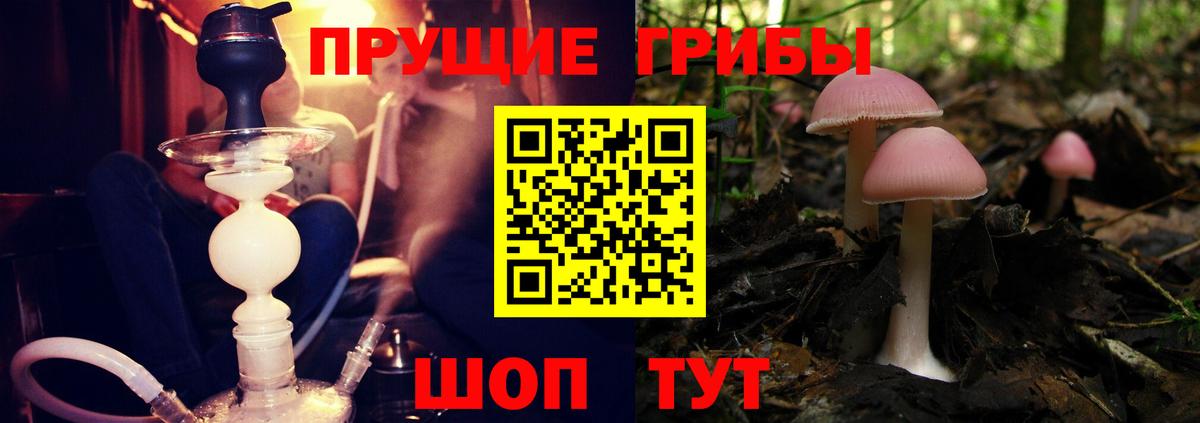 Галлюциногенные грибы мухоморы  Вход с VPN  Пермь  Галлюциногенные грибы Cubensis 