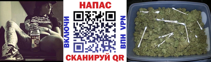 Конопля сатива  цены наркотик  Пермь 